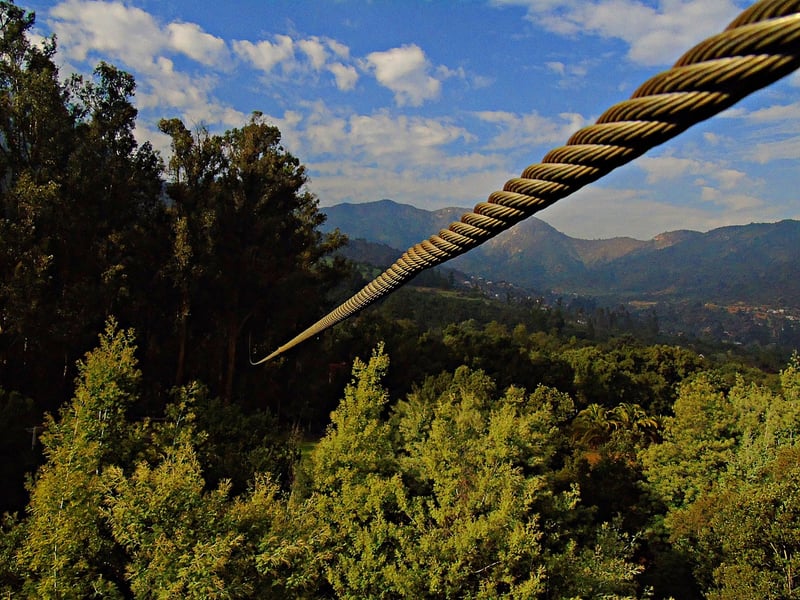 Zip Line Adventure